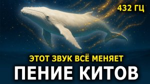 432 Гц — Пение китов / Медитация для Снятия Напряжения и Глубокого Расслабления