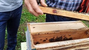 В гостях у Карелова П.Ф. (1 часть)