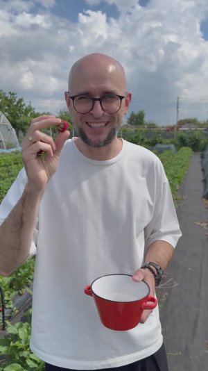 Дегустация китайского и корейского сортов клубники Фенг Сянг и Сольхянг ,а так же Орлец