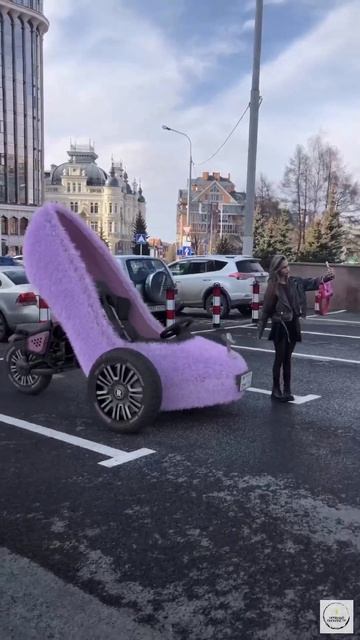 Ничесе какая