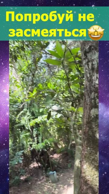 Ну и нализывает.. 😶 смотреть онлайн