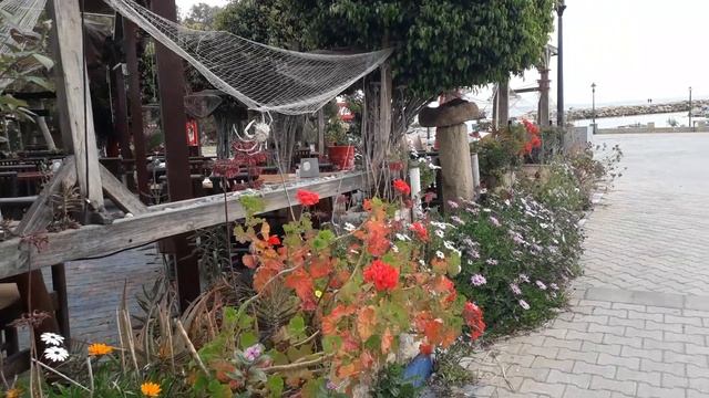 Кипр, Богаз, ресторан Кемал. Куда поехать отдыхать на море. Что посмотреть, где поесть. Красиво смотреть онлайн