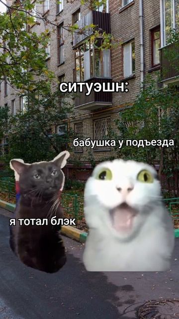 Так и есть смотреть онлайн