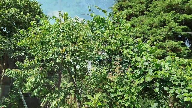 Рыбки в пруду) смотреть онлайн