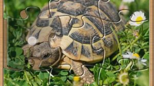 Мультики для детей. Мультфильмы для детей.