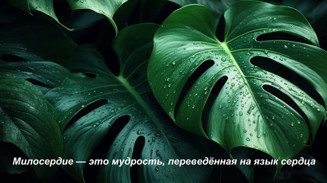 Подпишись! смотреть онлайн