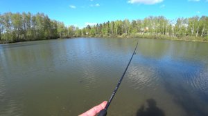 МИКРОДЖИГ КОСИТ КАРАСЯ ЛОВЛЯ НА СПИННИНГ РЫБАЛКА на озере
