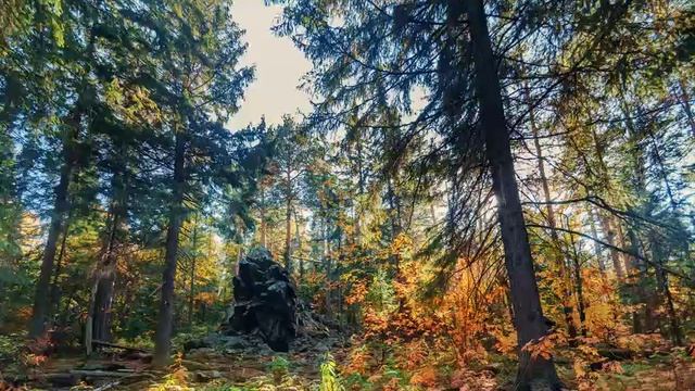Васильховка - С. Маркевич - _Осень_