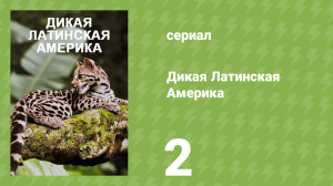 Дикая Латинская Америка 2 серия «Атакама» (документальный сериал, 2020)