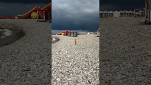 Небуг. Поселок на Черном море. Лето. Состояние пляжей