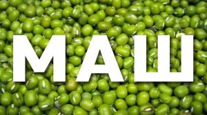 Маш, Что приготовить из маша, несколько идей - салат, суп, гарнир, второе