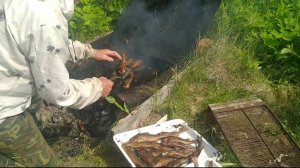 Копчу окуней.