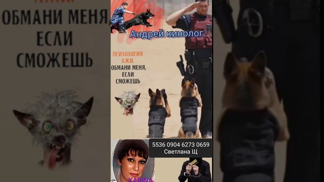 Полет Карины над гнездом шахраев! смотреть онлайн