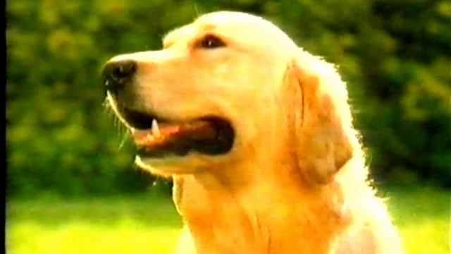 Реклама+анонс на "ТВЦ"(3). 14.02.2004г. смотреть онлайн