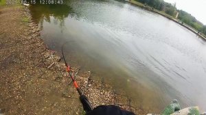 Парус Север Лето 2025