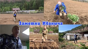 Неизданное: началось в деревне лето, провальный эксперимент