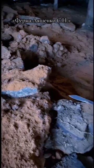 Техника смотреть онлайн