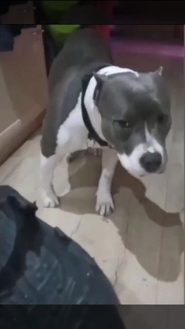 купила мама Лёше красивые калоши смотреть онлайн