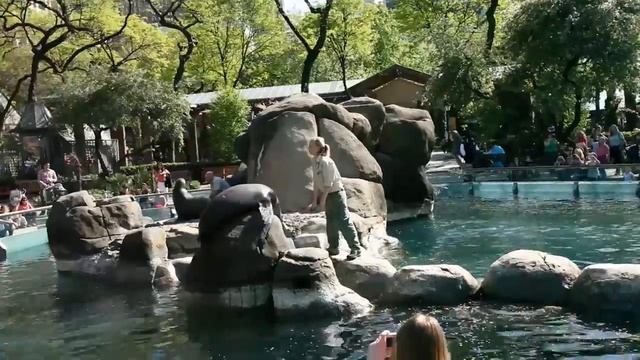 NY ZOO 2010 смотреть онлайн