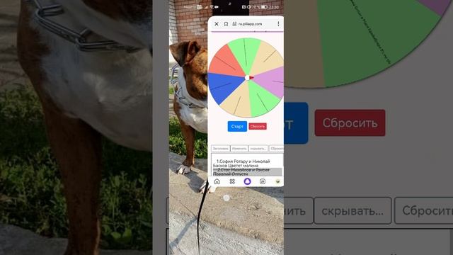 Клон-2. Полуфинал-2. Девочки