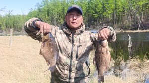 Рыбалка на сети, ловим огромных карпообразных карасей