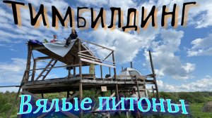 Тимбилдинг