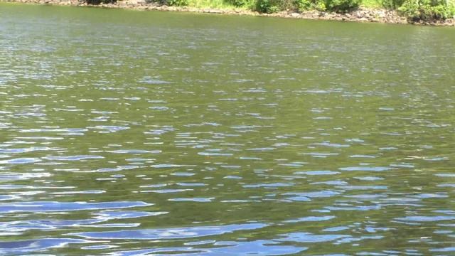 ЛОВЛЯ МАХОВОЙ УДОЧКОЙ МАХОВАЯ УДОЧКА 7 МЕТРОВ ЛОВЛЯ НА БУКСИРЧИК смотреть онлайн