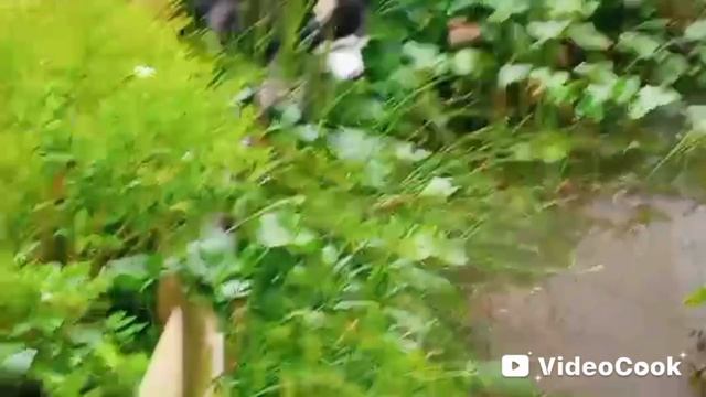 Опять утки смотреть онлайн