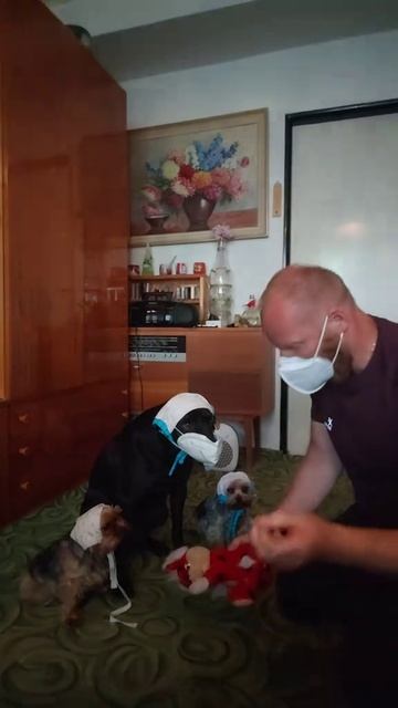 Айболит смотреть онлайн