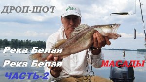 Ловля судака на ДРОП-ШОТ.Река Белая,Масады часть-2 ( 2025г.)