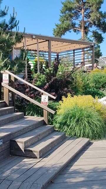 Центральный парк культуры и отдыха,Волгоград.