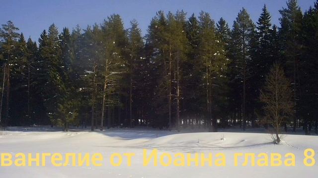 Библия Евангелие от Иоанна глава 8 смотреть онлайн