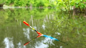 НЕЗАБЫВАЕМА ВЕЧЕРНЯЯ РЫБАЛКА НА ПОПЛАВОЧНУЮ УДОЧКУ