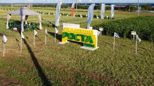 Академ роста - 2022 "Как мы начинали"