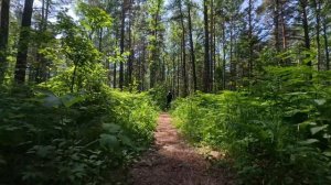 Поездка на моноколесе из Академа (Новосибирск) на пляж Звезда