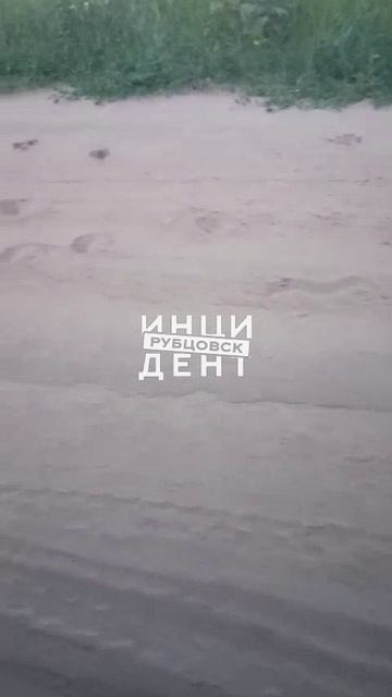 Медвежьи следы под Рубцовском смотреть онлайн