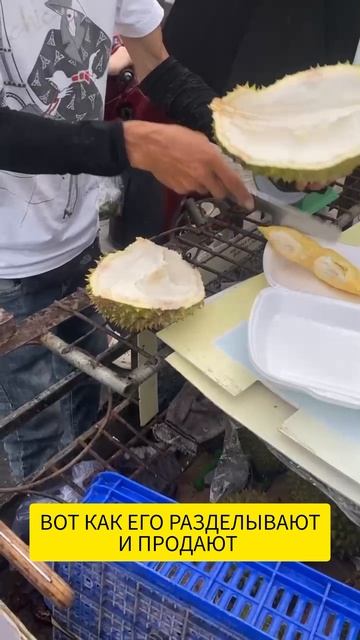 Пробуем дуриан во Вьетнаме смотреть онлайн