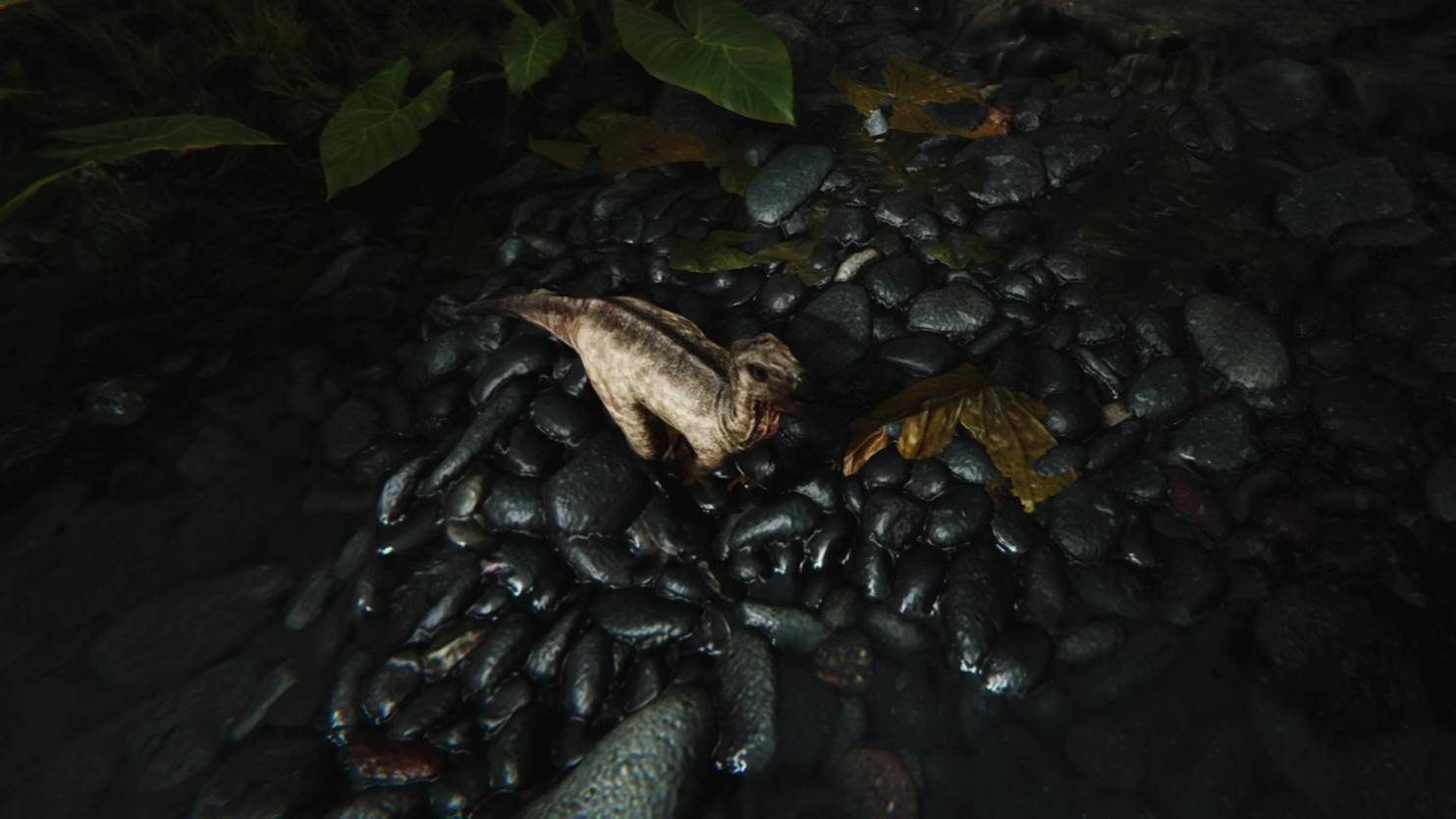 Выбросило на опасный остров: FEROCIOUS - 1