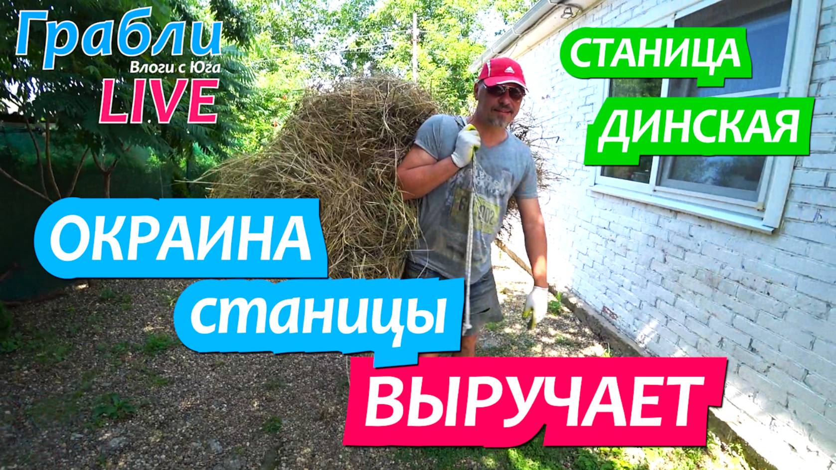 934 серия 14.06.25 За две недели утки всё изменили / Жизнь в станице Динская после переезда на Юг смотреть онлайн