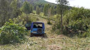 Подготовили еще один точек для пасеки.