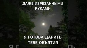 электроптицы: осколки 1 час