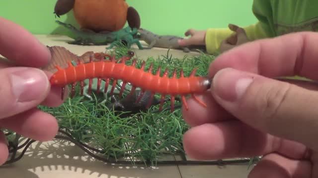 Дурацкий обзор на игрушки животные.Голодные крокодилы едят всех и динозавров. Видео для детей смотреть онлайн