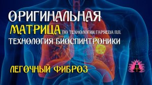 Легочный фиброз ⚠️ Оригинальная матрица по технологии Гаряева П.П ☀️ SoftRadio.ru