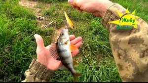 Рыбалка на спиннинг.  Открытие сезона 2025. Живу на Земле