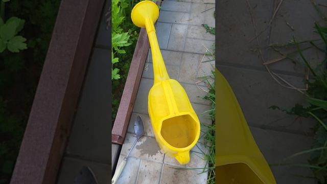 2 ЛОЖКИ ЭТОГО СПАСУТ ВАШ ЛУК ОТ ЛУКОВОЙ МУХИ! смотреть онлайн