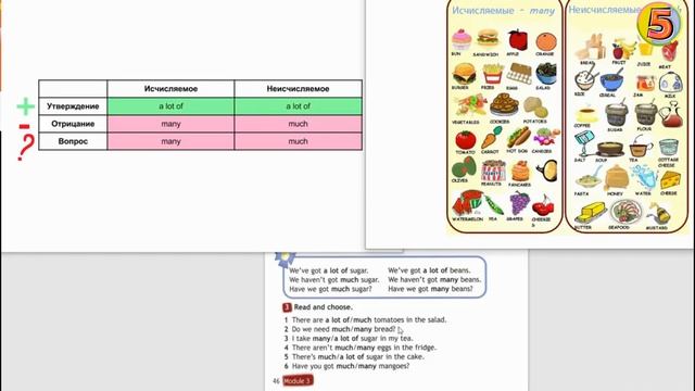 Spotlight 4. стр 46. Урок 6a (с. 46—47). Английский язык. Рабочая тетрадь. стр 24. (с 24). 4 класс. смотреть онлайн