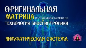 Лимфатическая система ⚠️ Оригинальная матрица по технологии Гаряева П.П ☀️ SoftRadio.ru