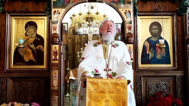 проповедь на Всех святых (нед 1 по Пятидес) смотреть онлайн