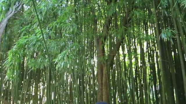 MVI 0808 смотреть онлайн