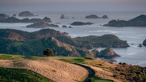 9 лунок на Kauri Cliffs golf course | Расслабляющий гольф